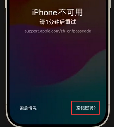 固始苹果手机密码维修分享iPhone忘记了刚设置的密码 